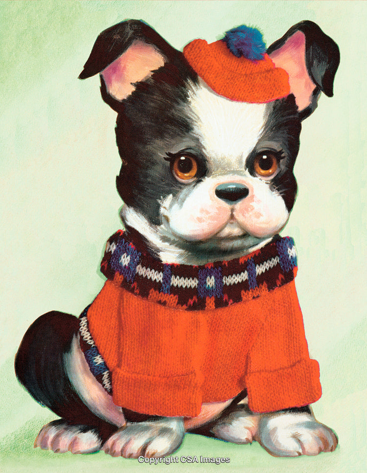 Cute Puppy in Warm Sweater and Hat on Soft Green Background