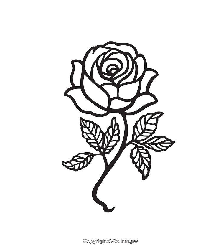 Detailed Line Art Illustration of a Rose with Leaves