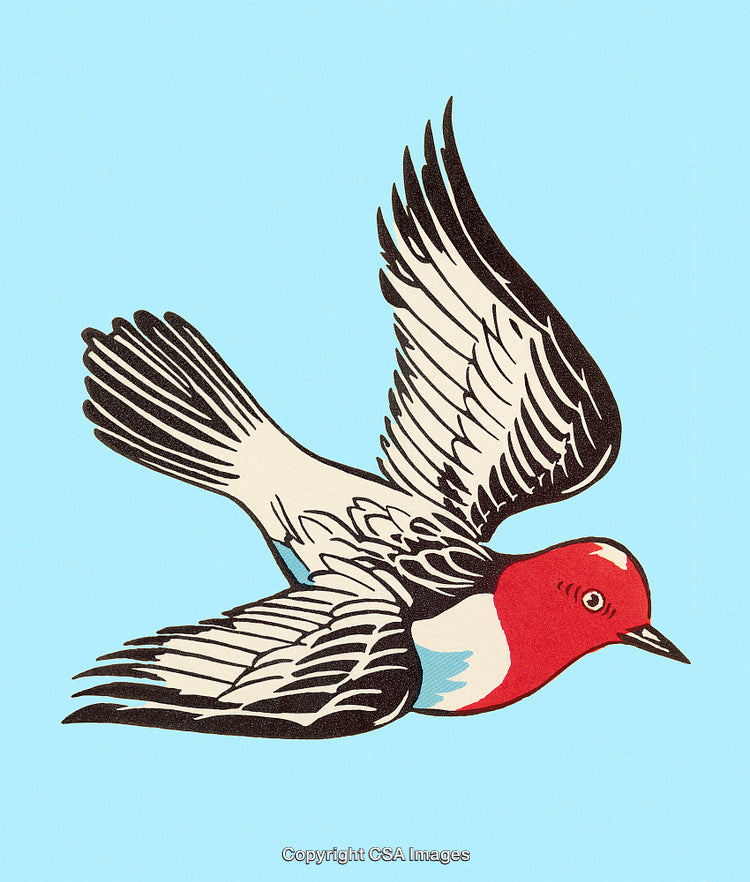 Vintage Illustration of a Flying Red-Headed Bird on a Light Blue Background