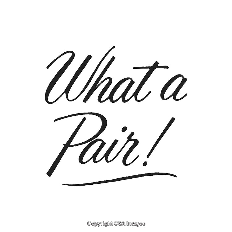 Elegant Handwritten Script With the Text 'What a Pair!' in Stylish Design