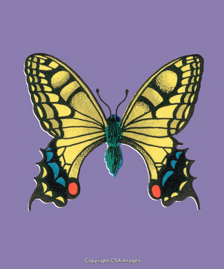 Elegant Yellow and Black Butterfly Illustration on Purple Background