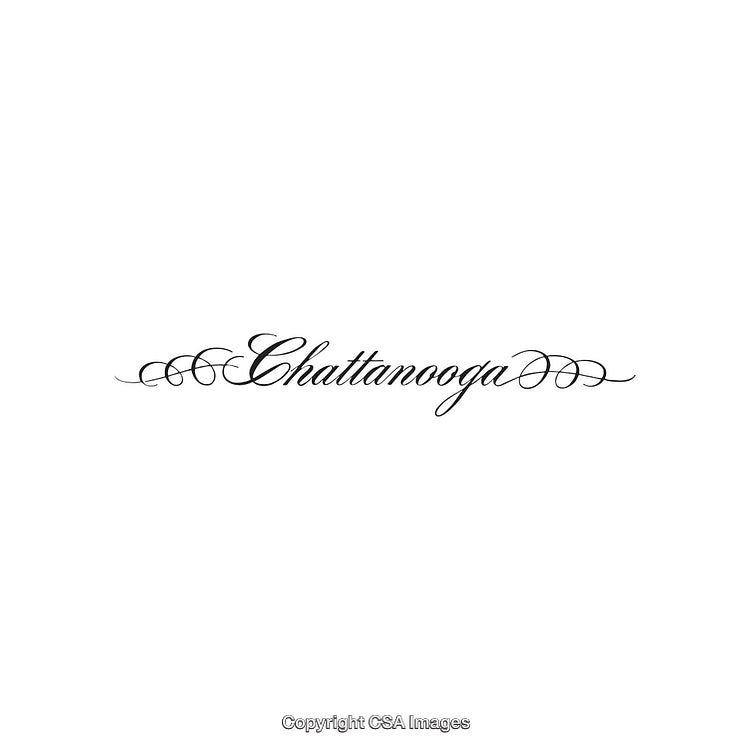 Elegant Calligraphy Design Featuring the Word Chattanooga in Ornate Script