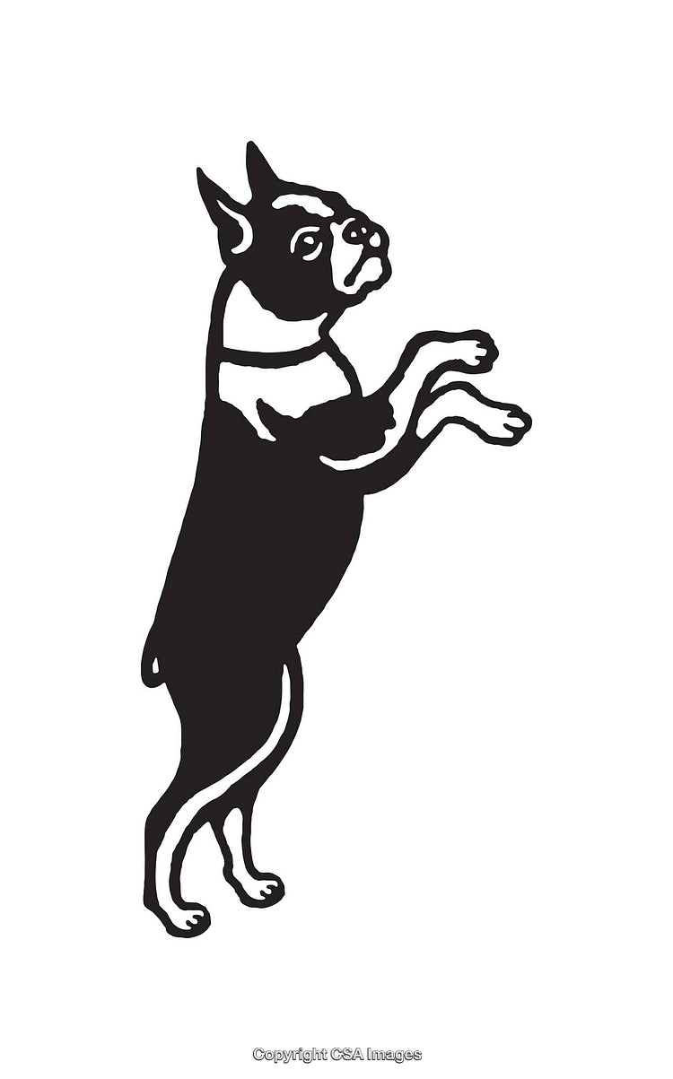 Black and White Line Art Illustration of a Standing Dog