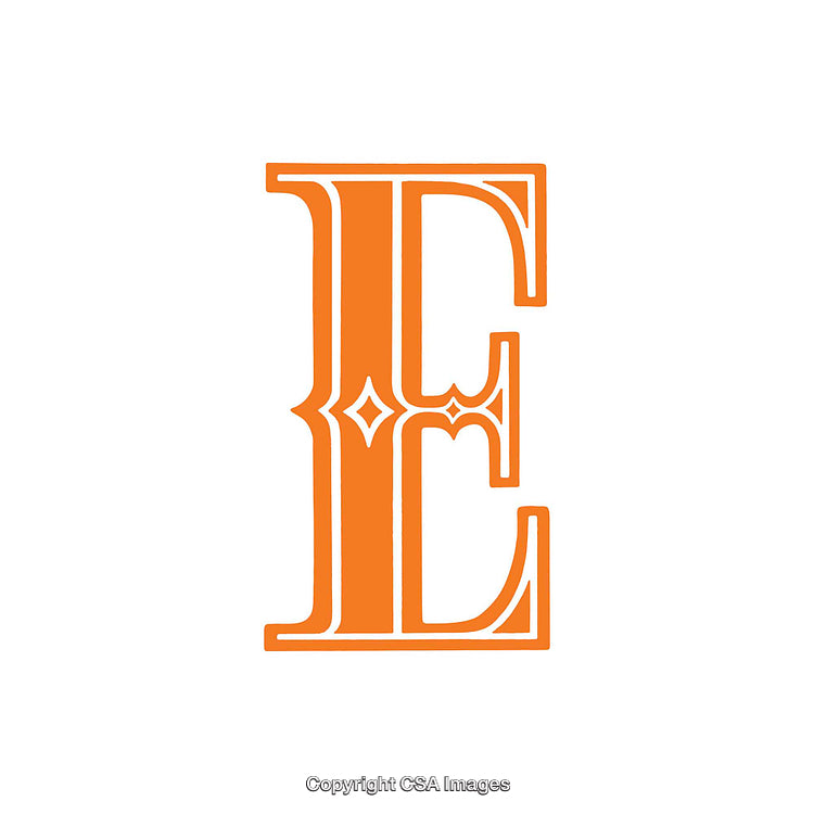 Ornate Orange Letter E With Decorative Vintage Style