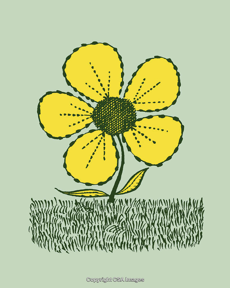 Illustrated Yellow Flower with Green Background in Vintage Style Line Art