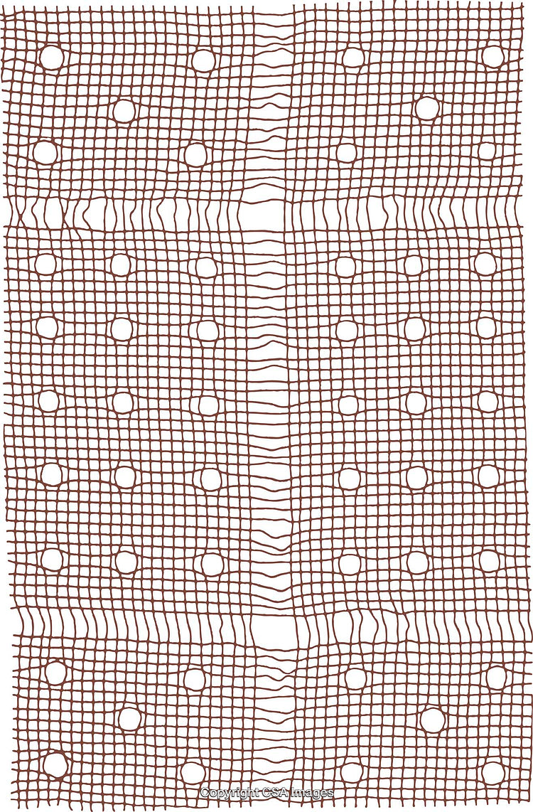 Abstract Geometric Pattern with Circles and Lines in Brown Tone