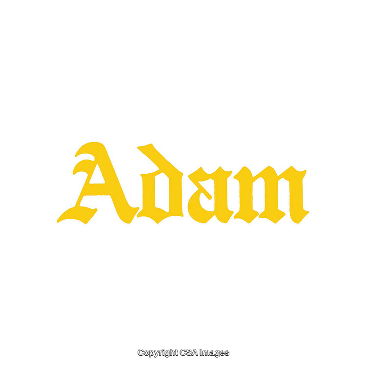 Yellow Gothic Style Text Design with the Word 'Adam' on White Background