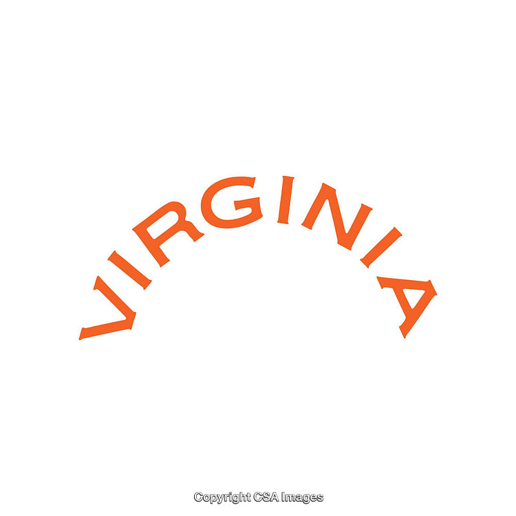 Bold Orange Virginia Text Design on White Background