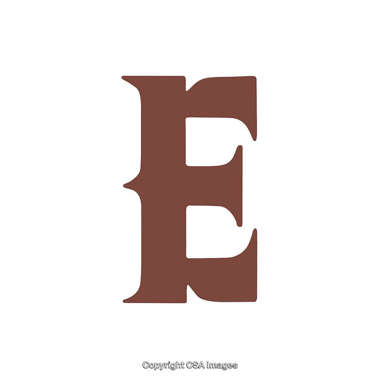 Illustration of Stylized Brown Letter E on White Background for Design Use