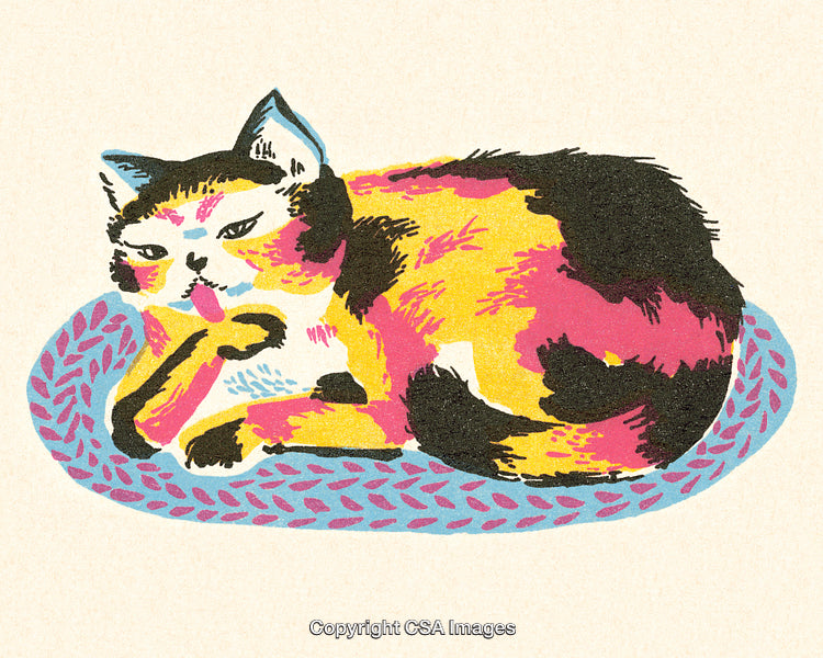 Colorful Illustrated Cat Grooming on Cuddly Mat in Unique Art Style