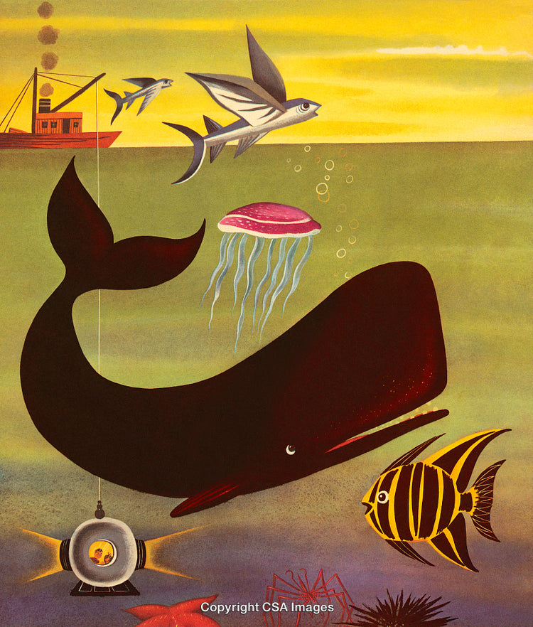 Illustrated Marine Scene With Whales, Fish, Jellyfish, and Coastal Boat