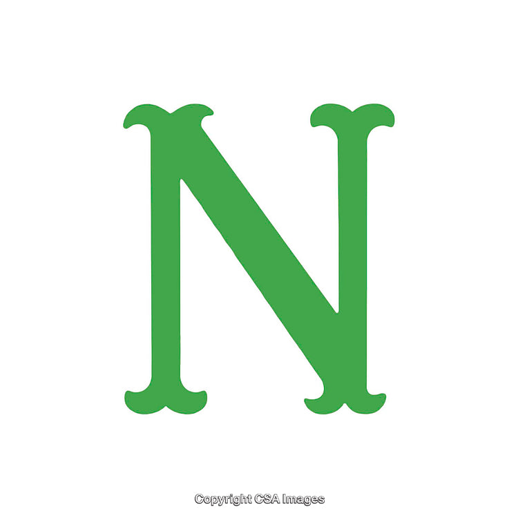 Green Ornate Letter N Isolated on a White Background