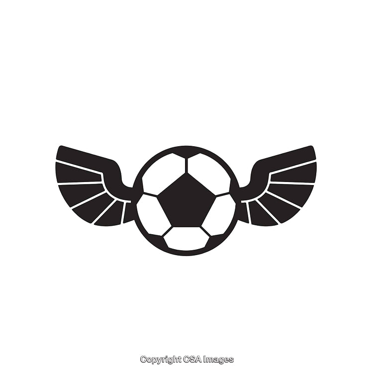 Black and White Flying Soccer Ball Icon with Wing Design