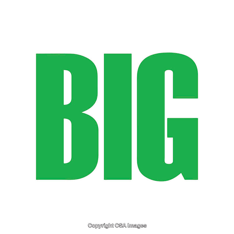Green Bold Text Featuring the Word 'Big' on a White Background
