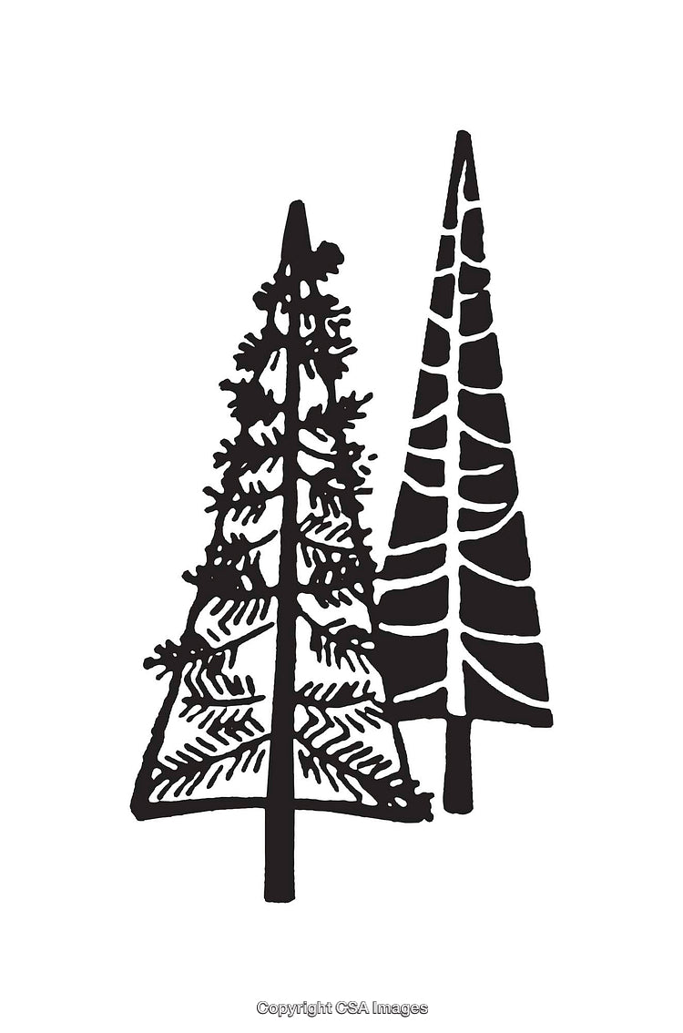 Black and White Line Art of Stylized Pine Trees