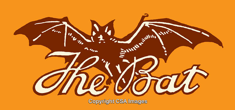 Vintage Illustration of Bat with Text on Orange Background