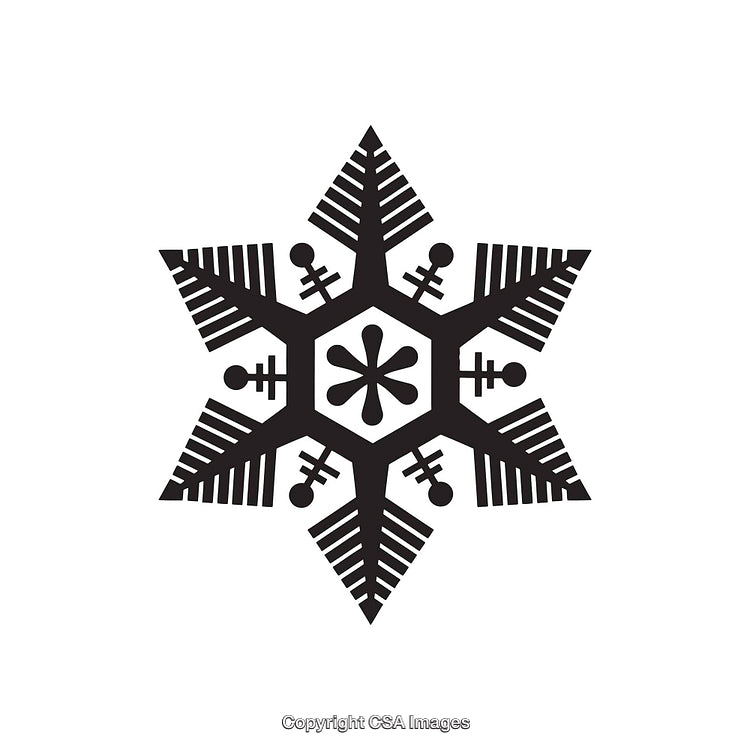 Black and White Snowflake Shape Design With Geometric Details
