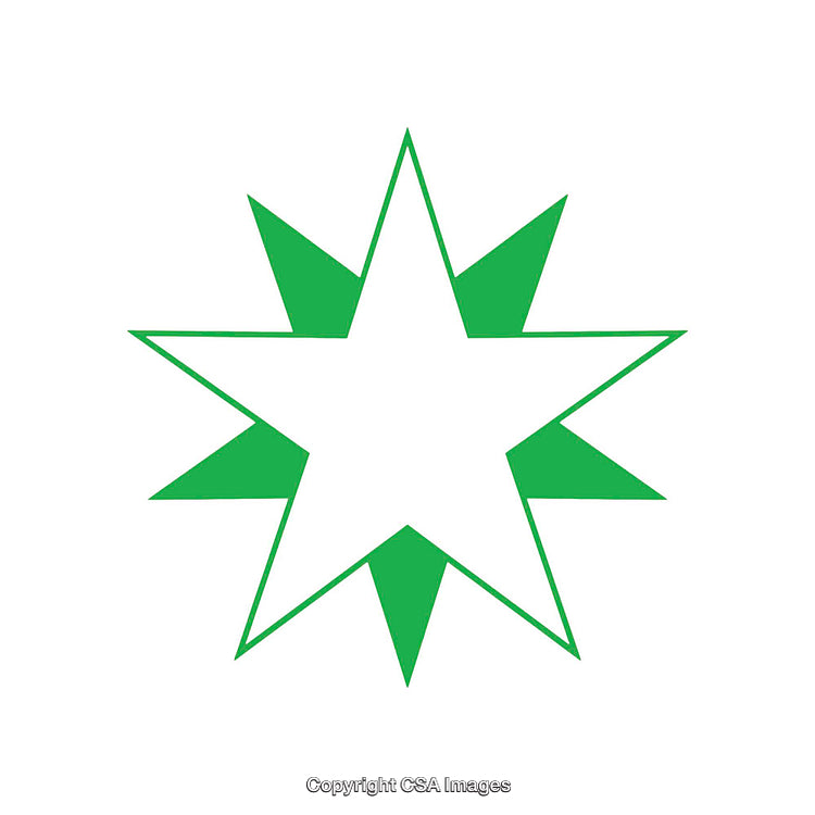 Green Stylized Eight-Point Star Design on a White Background