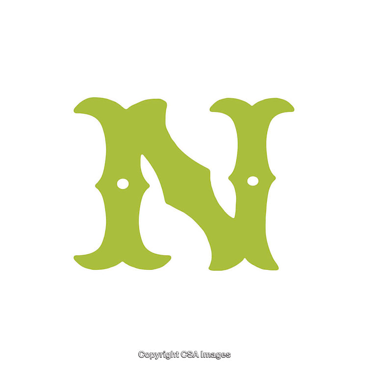 Elegant Decorated Letter N in Vibrant Green on White