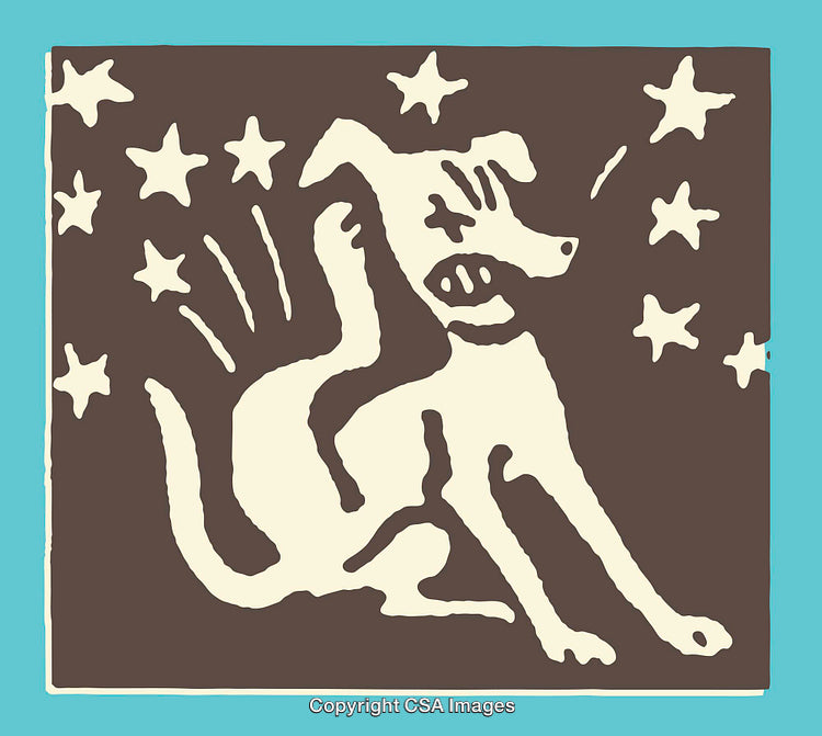 Whimsical Illustrated Dog Scratching Surrounded by Stars in Bold Colors