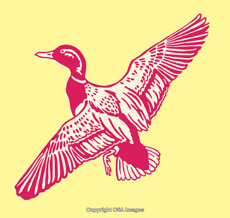 Colorful Line Art Illustration of a Flying Duck on a Yellow Background