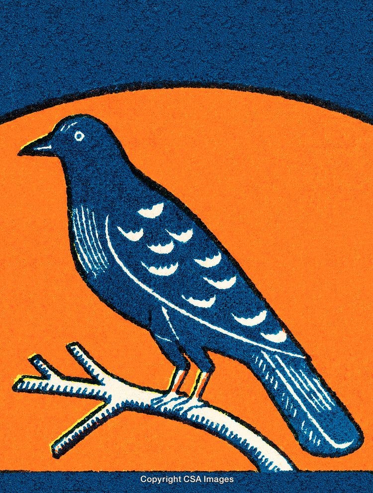 Illustration of a Bird Sitting on a Branch in a Bold Graphic Style