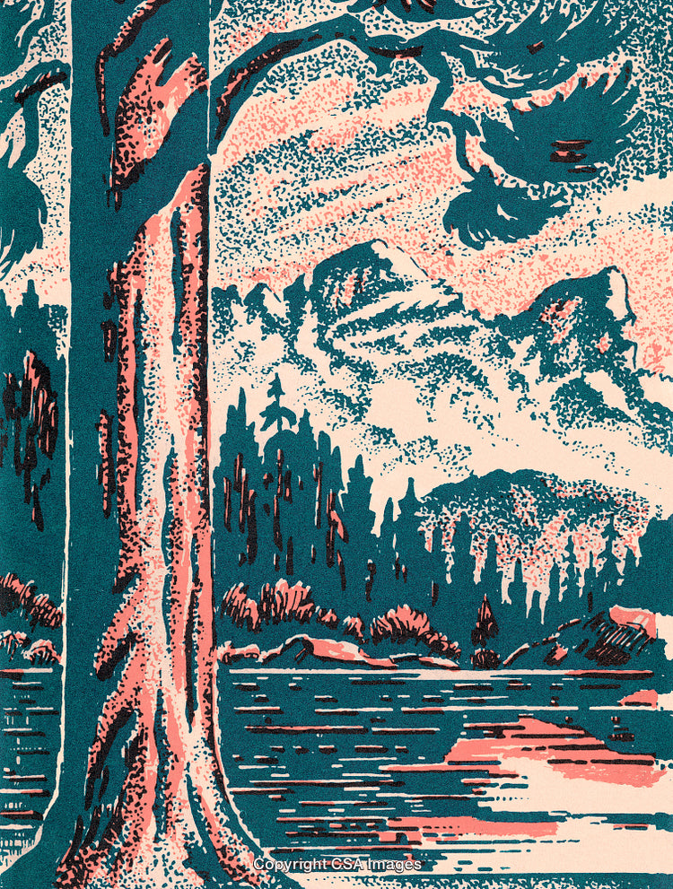 Colorful Vintage Illustration of a Scenic Forest With River and Mountains