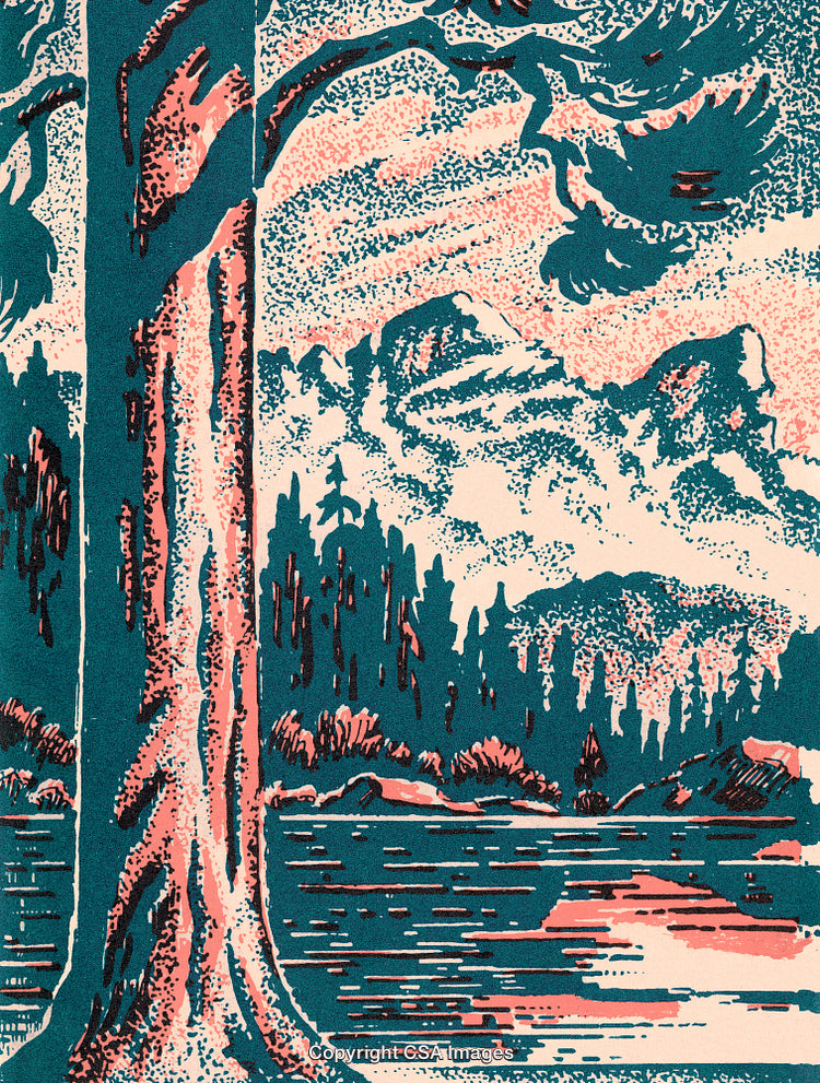 Colorful Vintage Illustration of a Scenic Forest With River and Mountains
