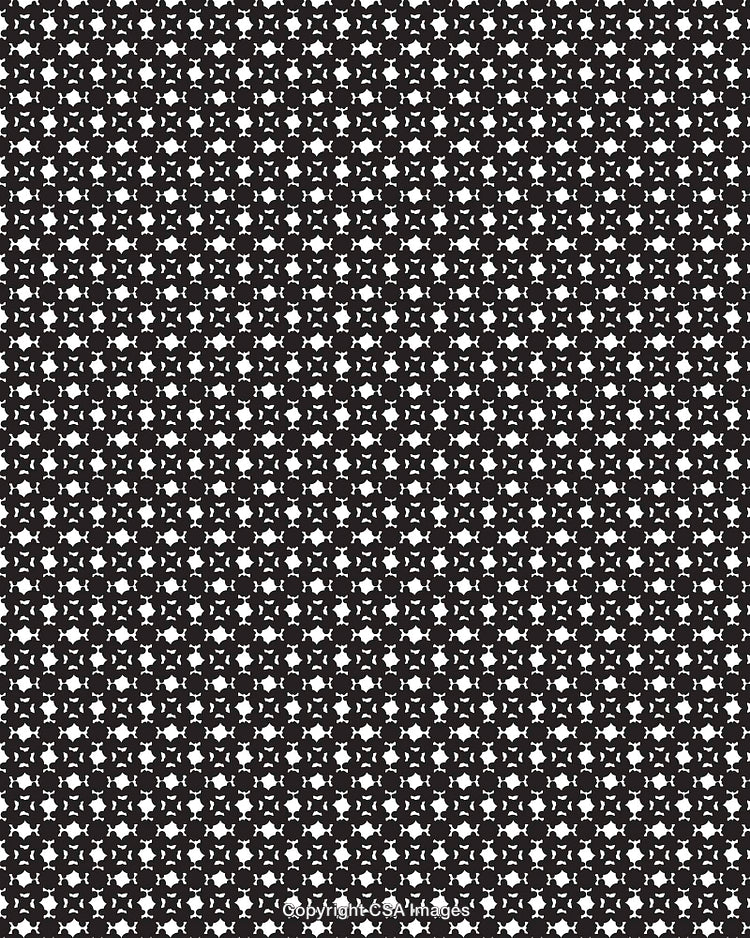 Seamless Monochrome Pattern With Symmetrical Floral Motifs and Geometric Design