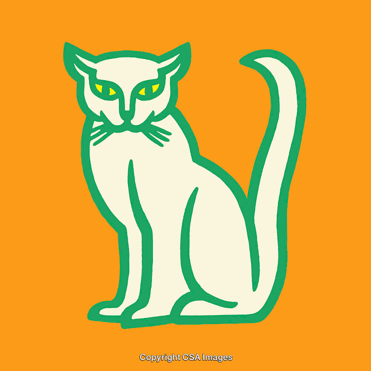Illustration of a Cat in Green and Orange Vibrant Theme