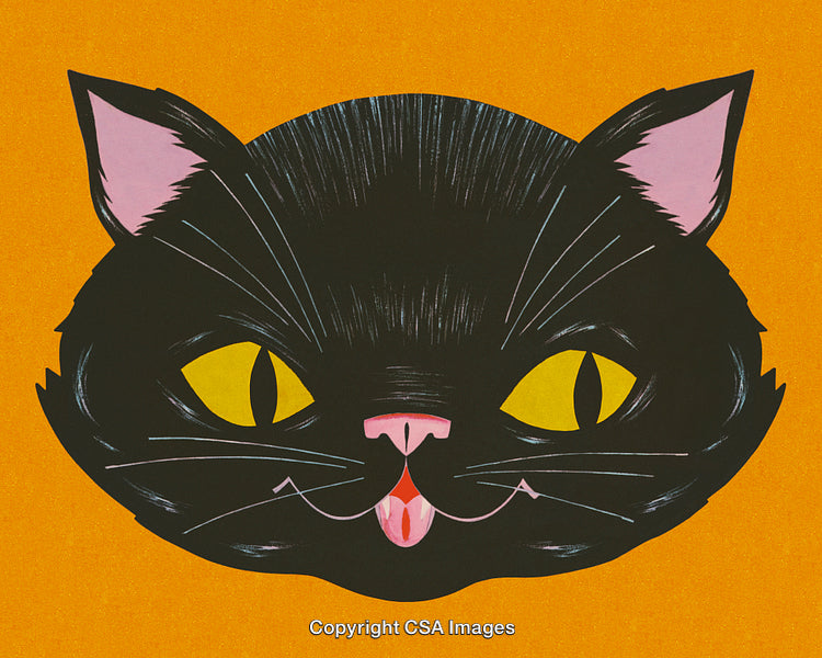 Stylized Illustration of a Black Cat Face on an Orange Background