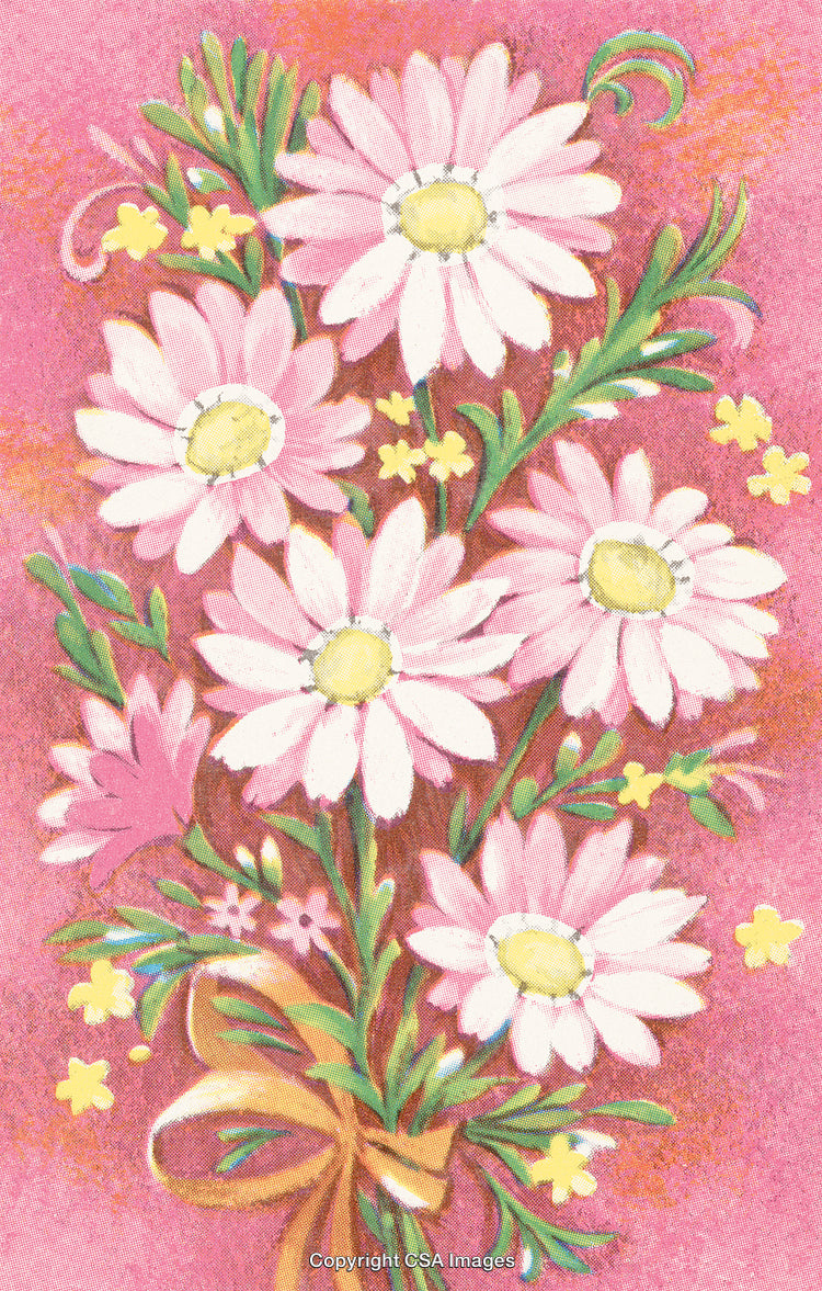 Beautiful Bouquet of Daisies on a Pink Textured Background