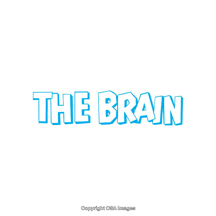 Blue Text Saying 'The Brain' on a White Background Illustration