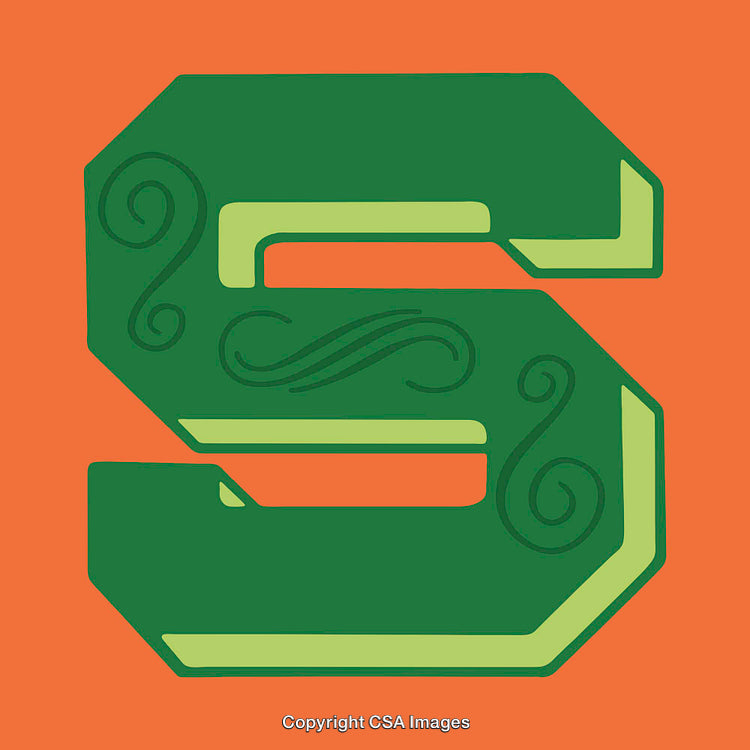 Elegant Green Letter S on Vibrant Orange Background with Decorative Design