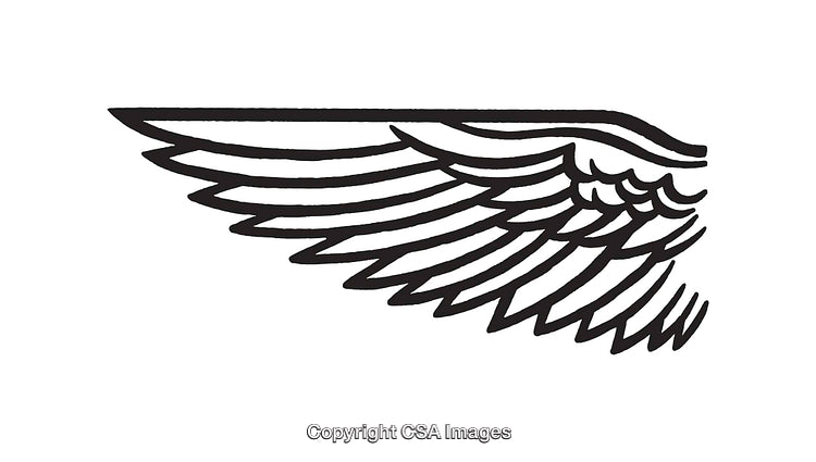 Stylized Black and White Line Art Wing Illustration with Minimalist Design