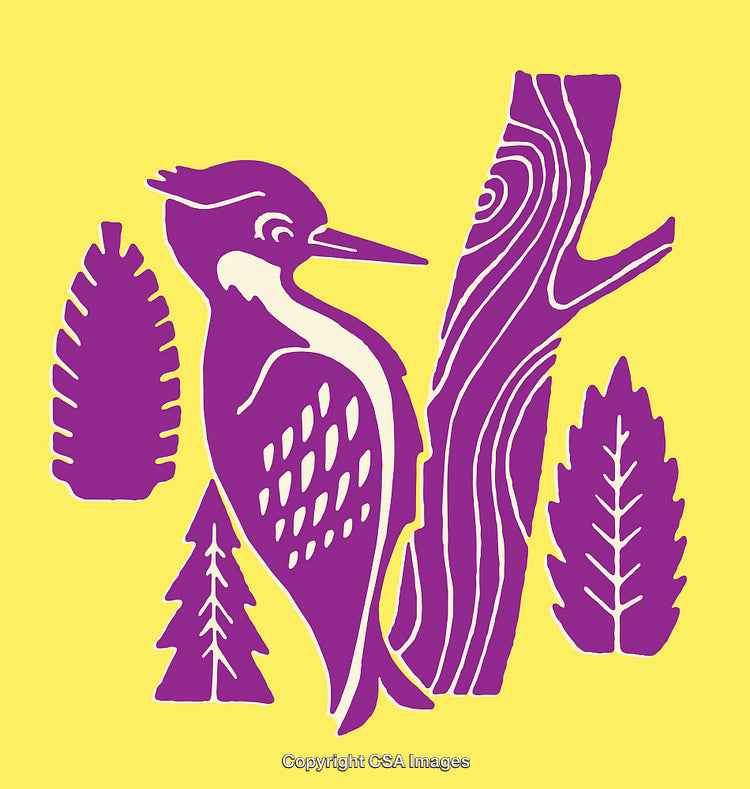 Colorful Woodpecker Illustration with Leaves and Wood Grain Background