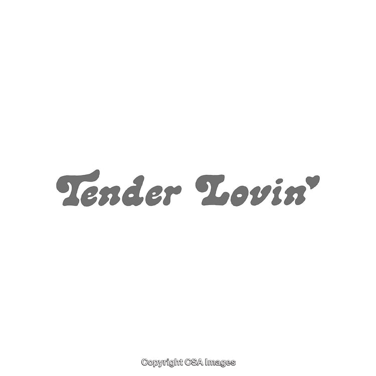 Retro Styled Gray Text Art Featuring the Words 'Tender Lovin' on White