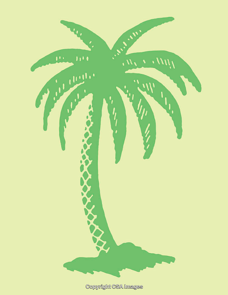 Green Palm Tree Illustration with Tropical Theme on Yellow Background