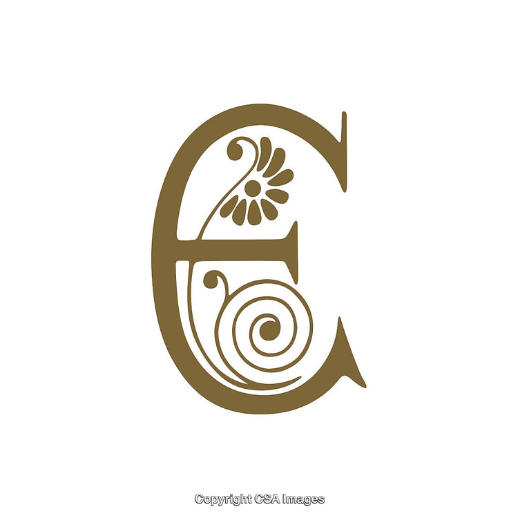 Elegant Floral Letter E in Decorative Design and Gold Color
