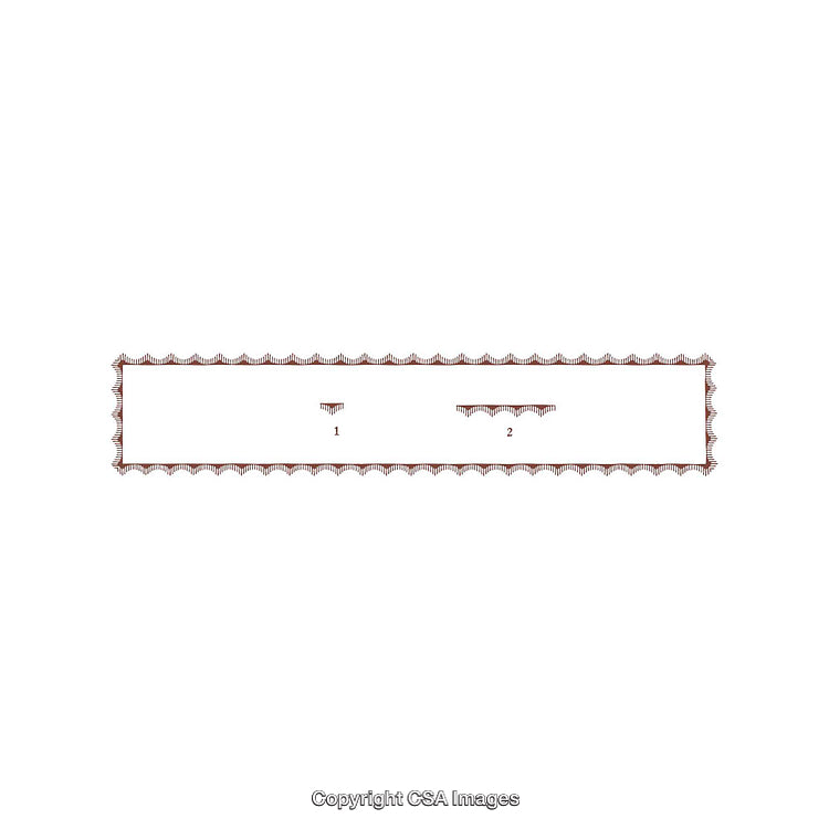 Rectangular Diagram with Geometric Patterns and Labels on White Background