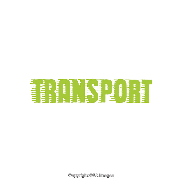 Green 'Transport' Text Graphic in Decorative Style on White Background