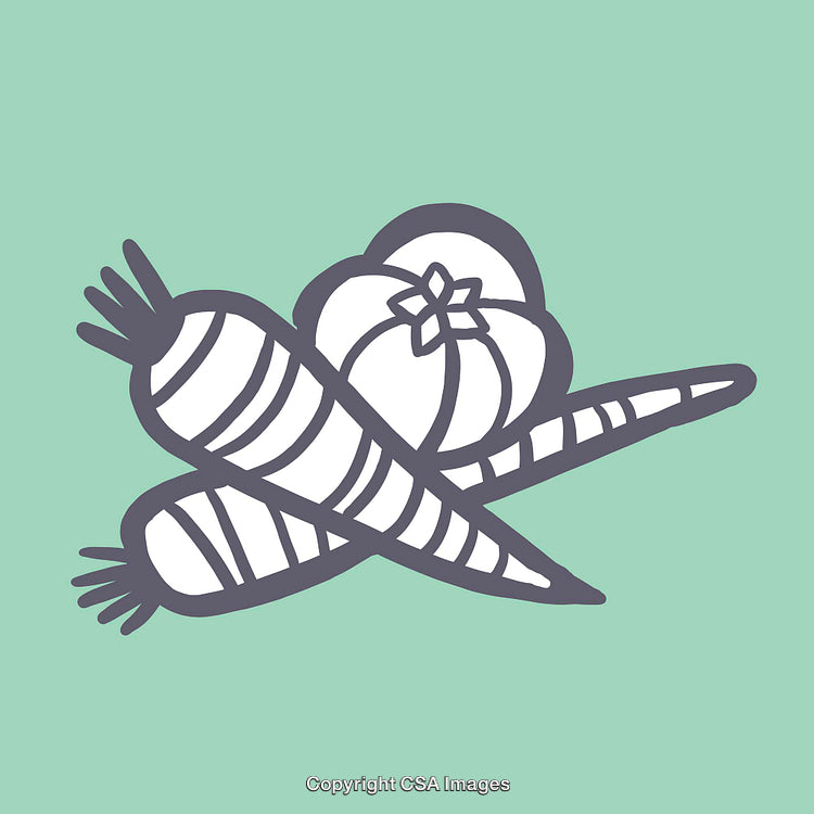 Colorful Line Illustration of Carrots and Tomato on Green Background