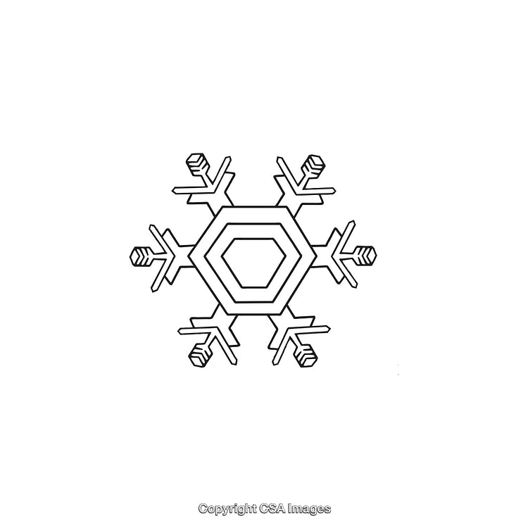 Black and White Geometric Snowflake Design with a Minimalist Style