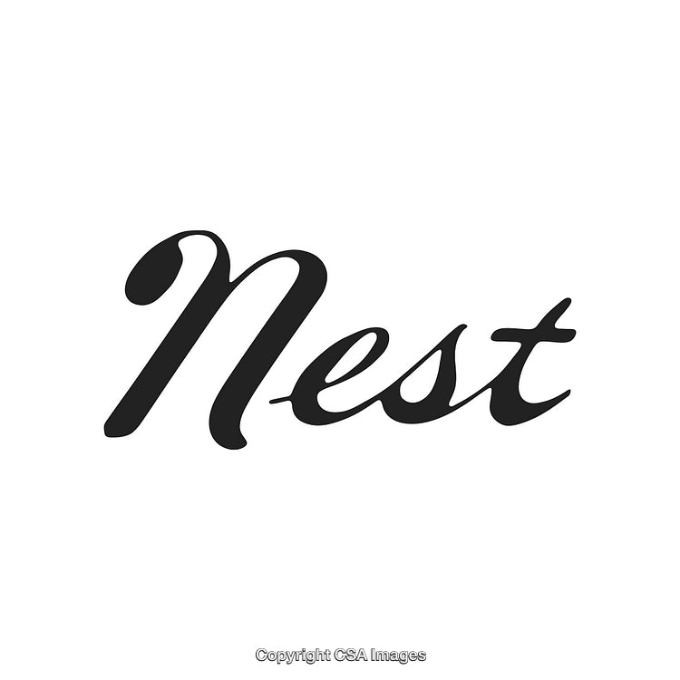 Elegant Black Calligraphy Style Word 'Nest' on White Background