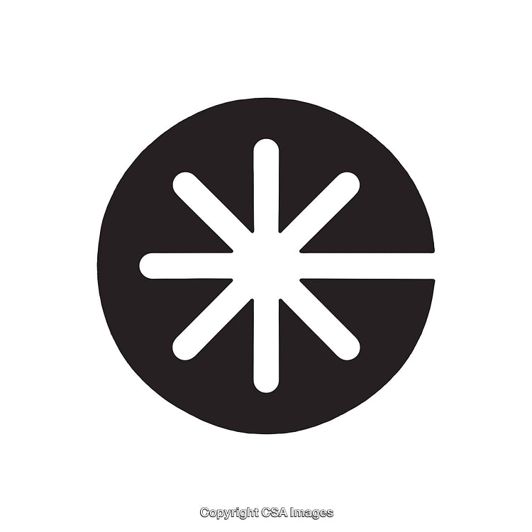 Black And White Minimal Dingbat with Starburst Design in Circle