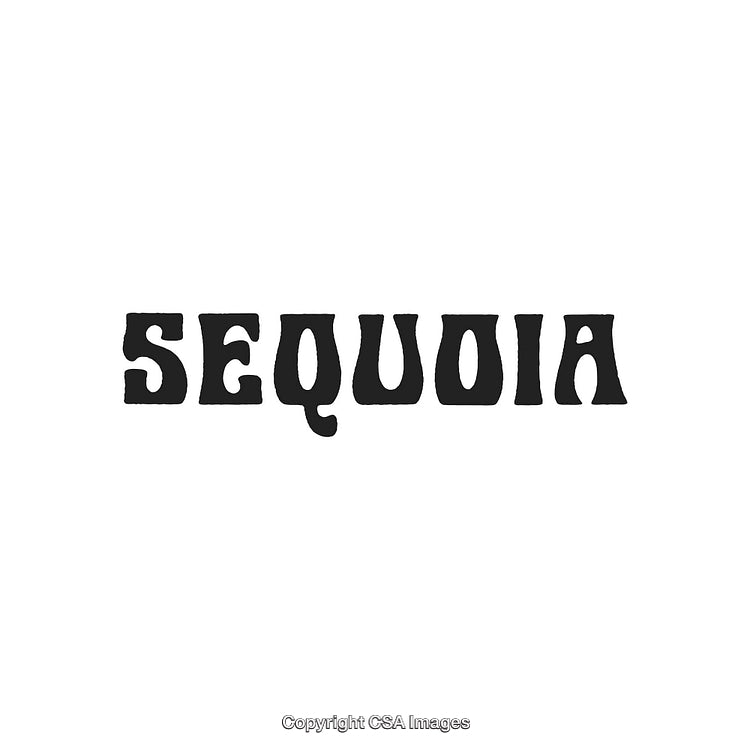 Vintage Styled Sequoia Text Logo in Black on White Background