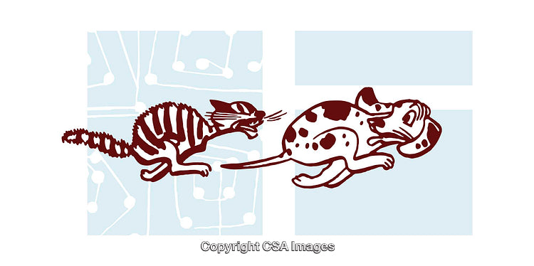 Playful Illustration of a Cat and Dog Interacting in Vibrant Colors