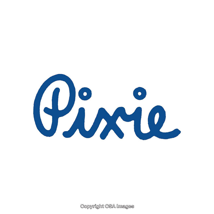 Blue Script Typography Logo Design with Handwritten Style on White Background
