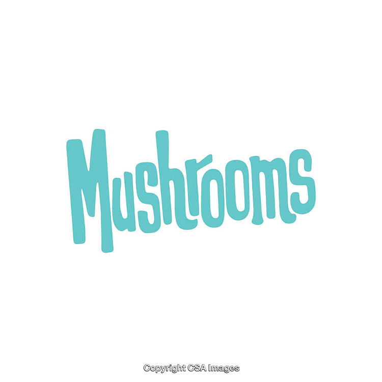 Stylized Blue Mushroom Typography Design on White Background