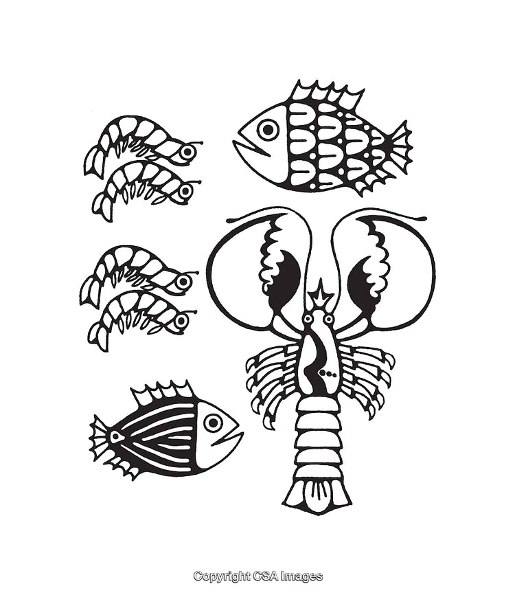 Black and White Line Art of Marine Animals and Shell Creatures
